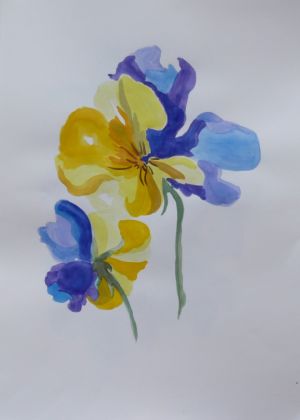 Pansies / watercolour on paper / 42,7 x 60,5 cm / 2017